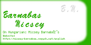 barnabas micsey business card